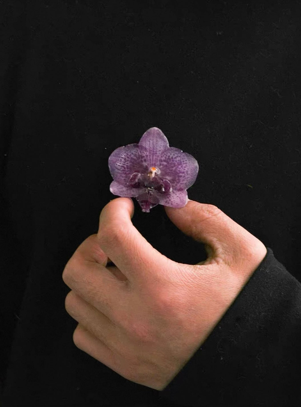 Soft purple orchid brooch with resin petals held against black fabric by Terra Decode