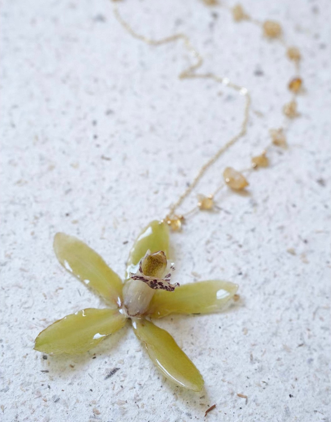 Olive green orchid pendant necklace with preserved botanical flower detail by Terra Decode