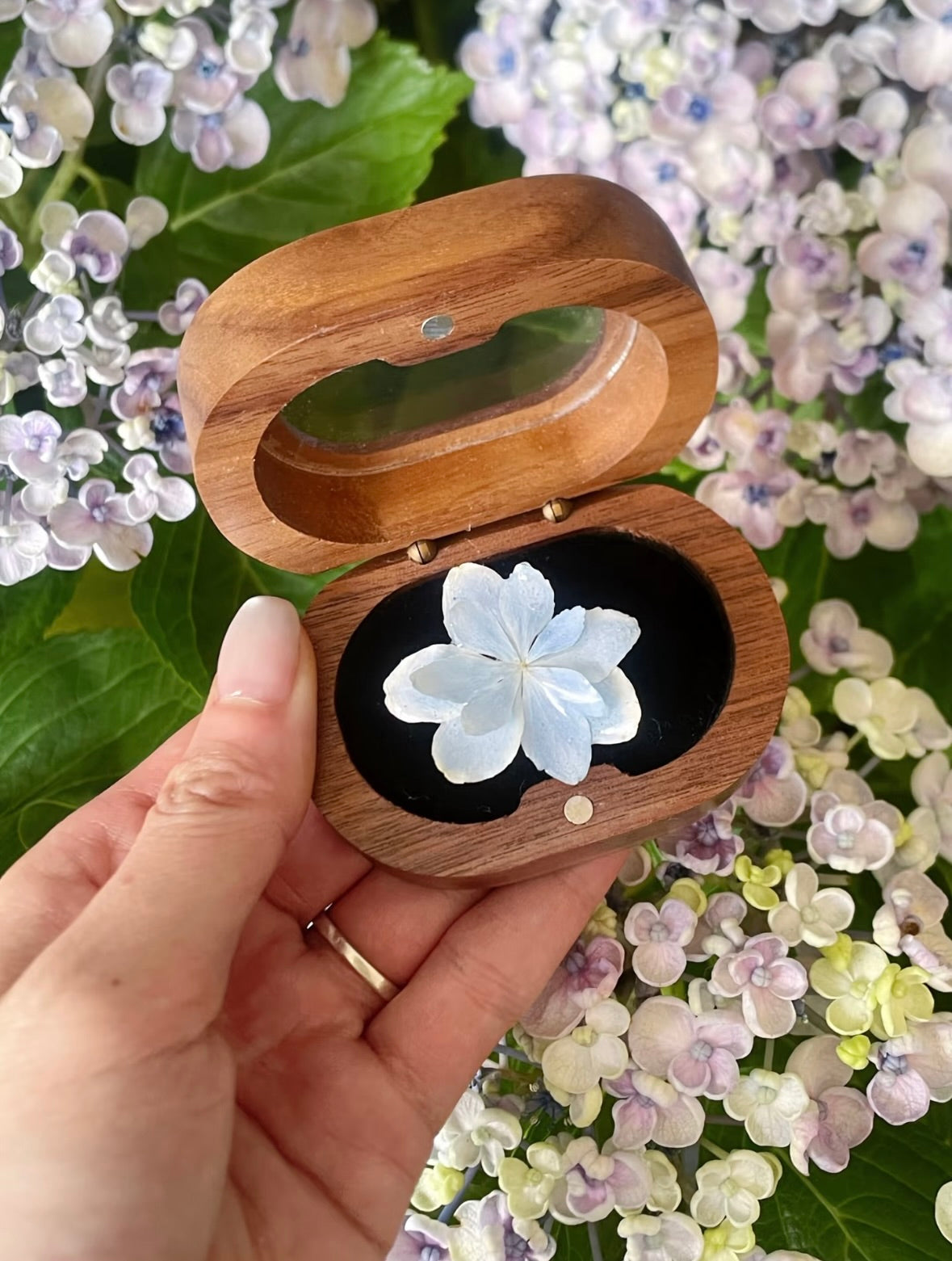 Hydrangea blue ring with resin petals displayed in a wooden jewellery box by Terra Decode