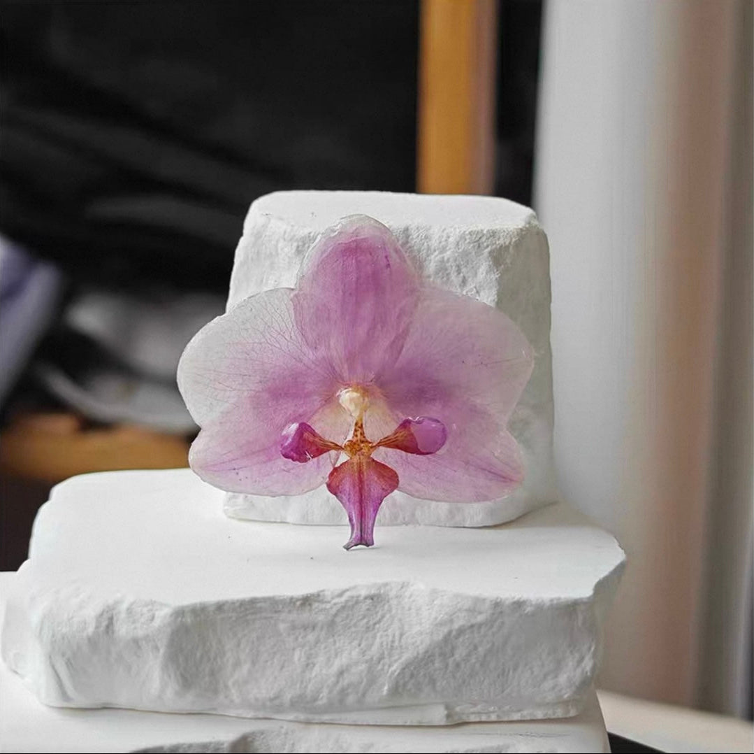 Cream white orchid brooch with resin petals and soft botanical styling by Terra Decode