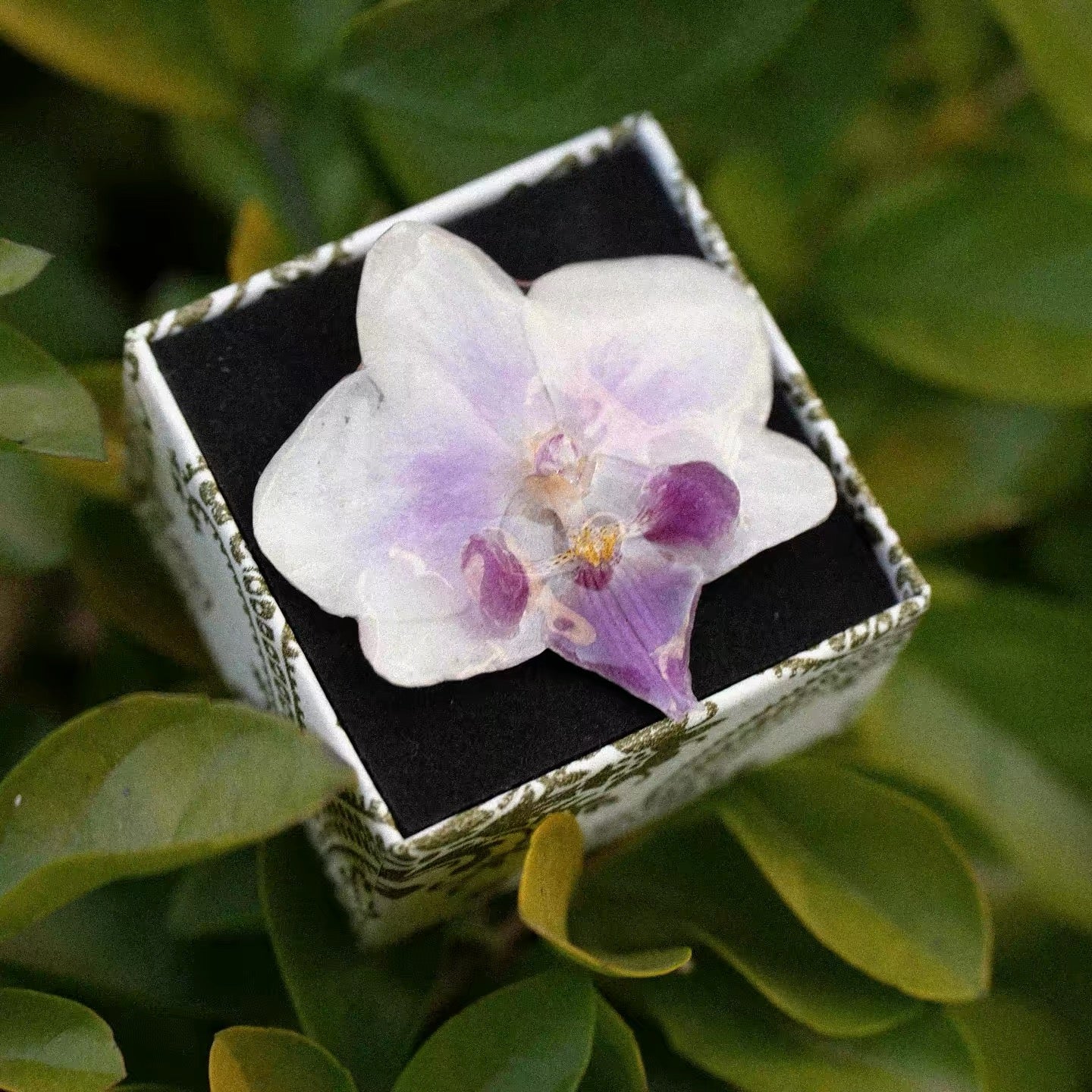 Cream White orchid ring with resin statement petals displayed in box by Terra Decode