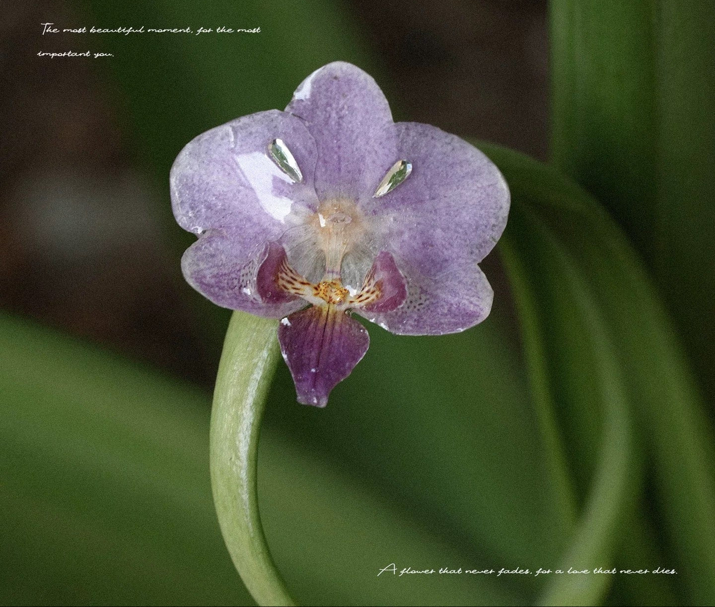 Soft purple orchid statement ring with resin petals displayed on a curved green leaf by Terra Decode