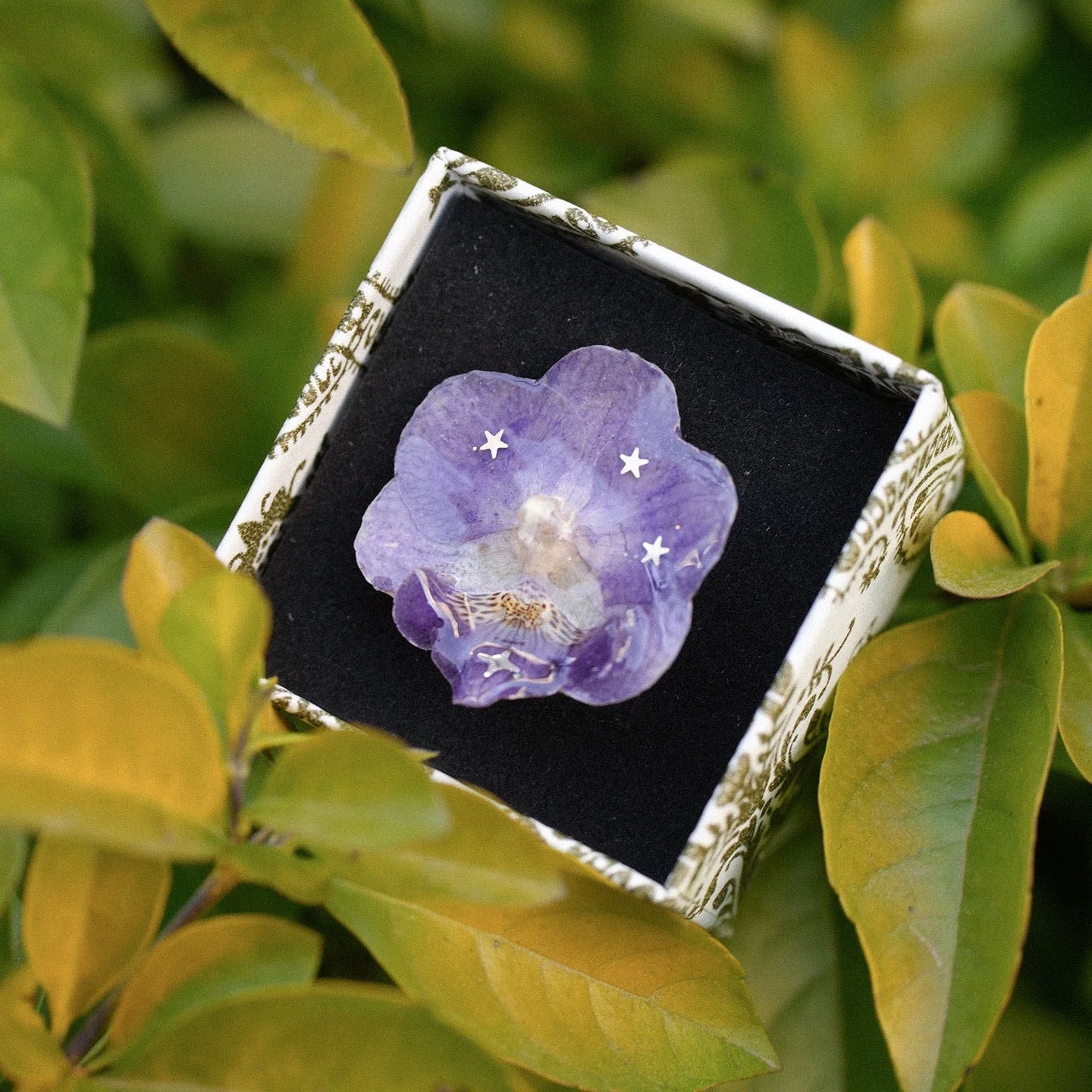 Star detail orchid statement ring with resin petals displayed in an open box among greenery by Terra Decode