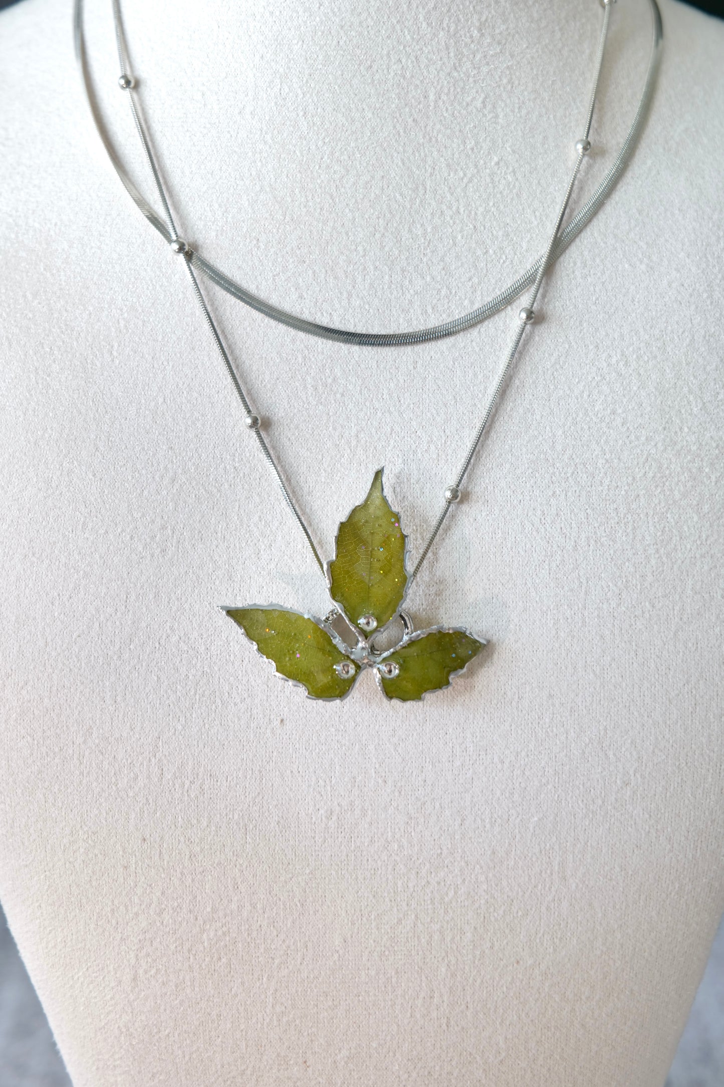 Close-up of natural Boston ivy leaf veins and silver-toned edging