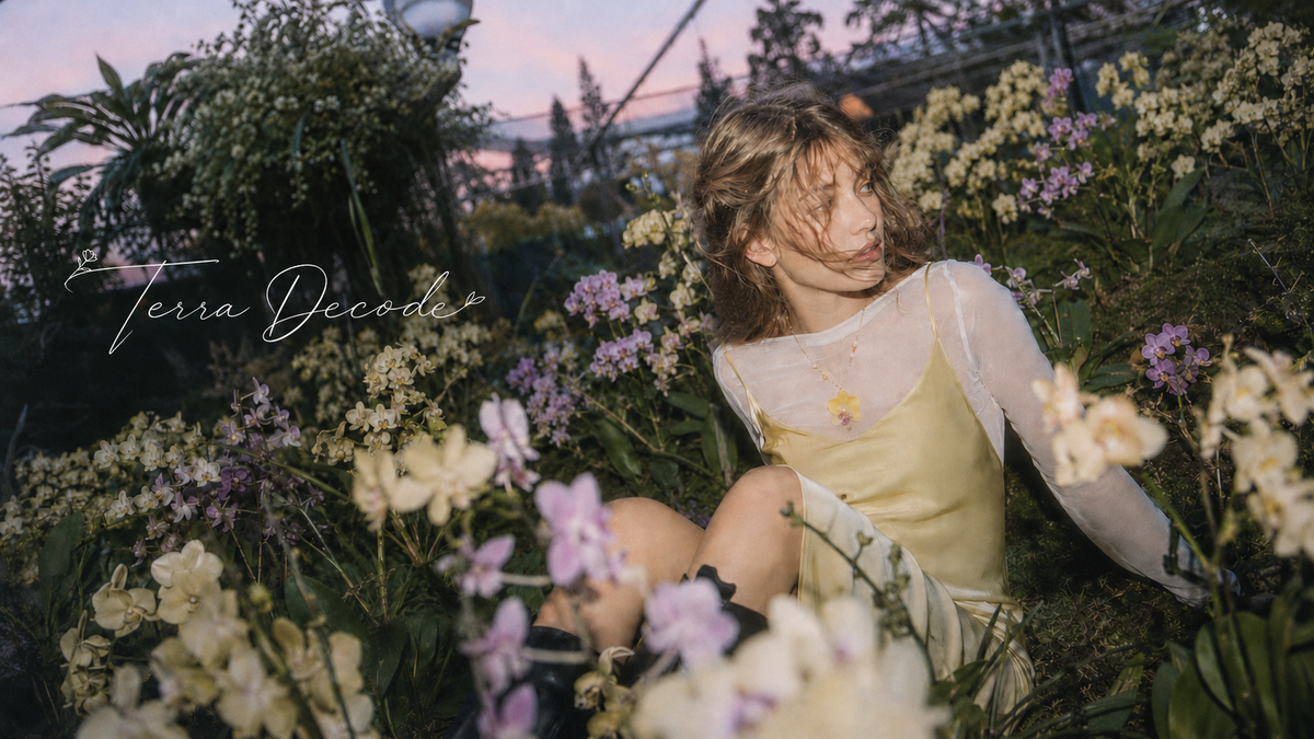 Terra Decode orchid jewellery campaign at pink-blue twilight